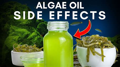 buy algae omega 3|dha from algae side effects.